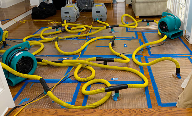 Professional Water Damage Restoration technician working in Rocky Point, WA